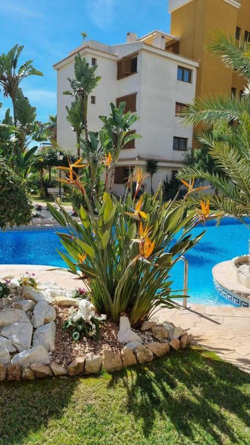 Punta Prima Nice Apartment With Sea Views Torrevieja Exterior photo